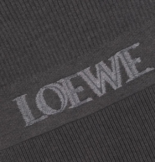 Loewe Scarfs Grey