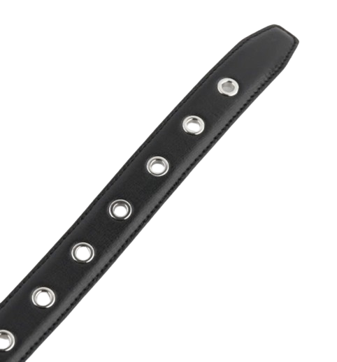 Eyelet Belt