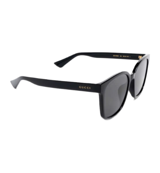 GG1583S Logo Temple Sunglasses