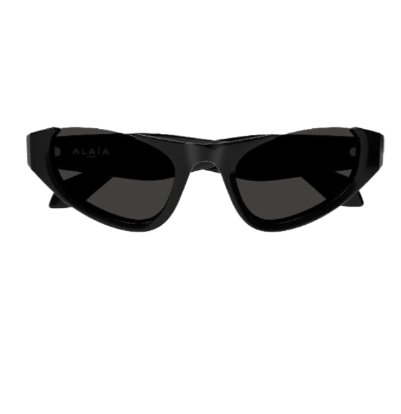 Cat eye logo temple sunglasses