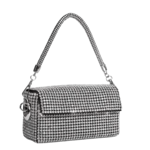 Giarite Rio Handbag Silver