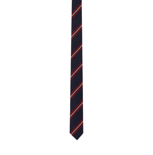 THIN TIE IN STRIPED SILK