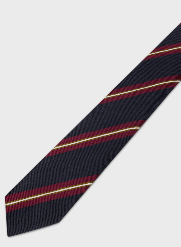THIN TIE IN STRIPED SILK