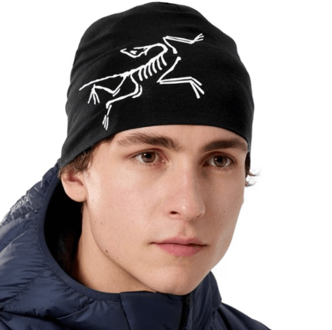 Arc'teryx Satoro Merino Toque