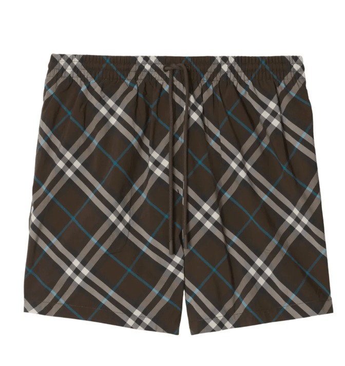 CHECK SWIM PANTS