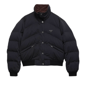 Black Cropped Compact Poplin Down Jacket