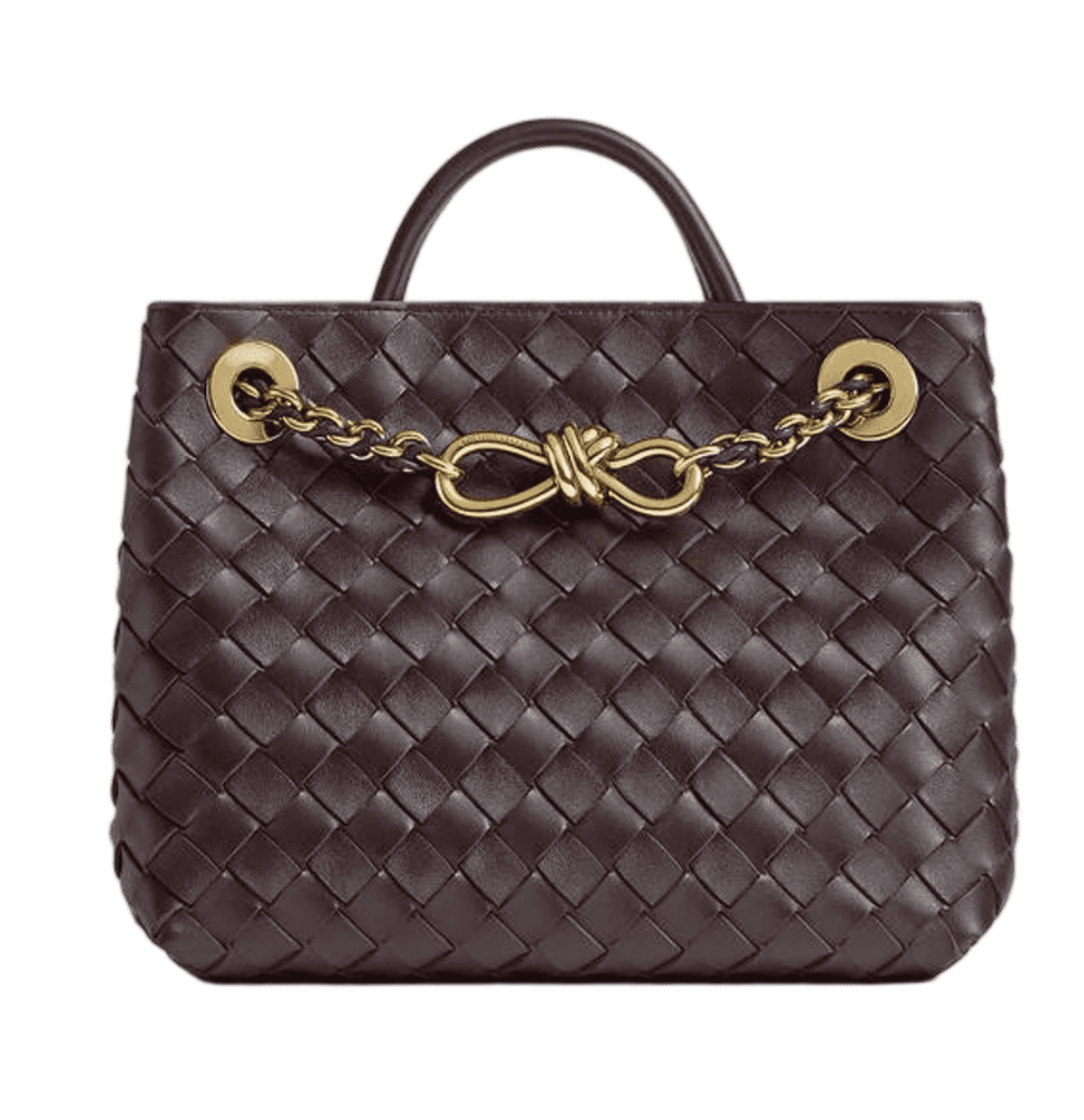 Bottega Veneta Small Andiamo Chain Dark Barolo