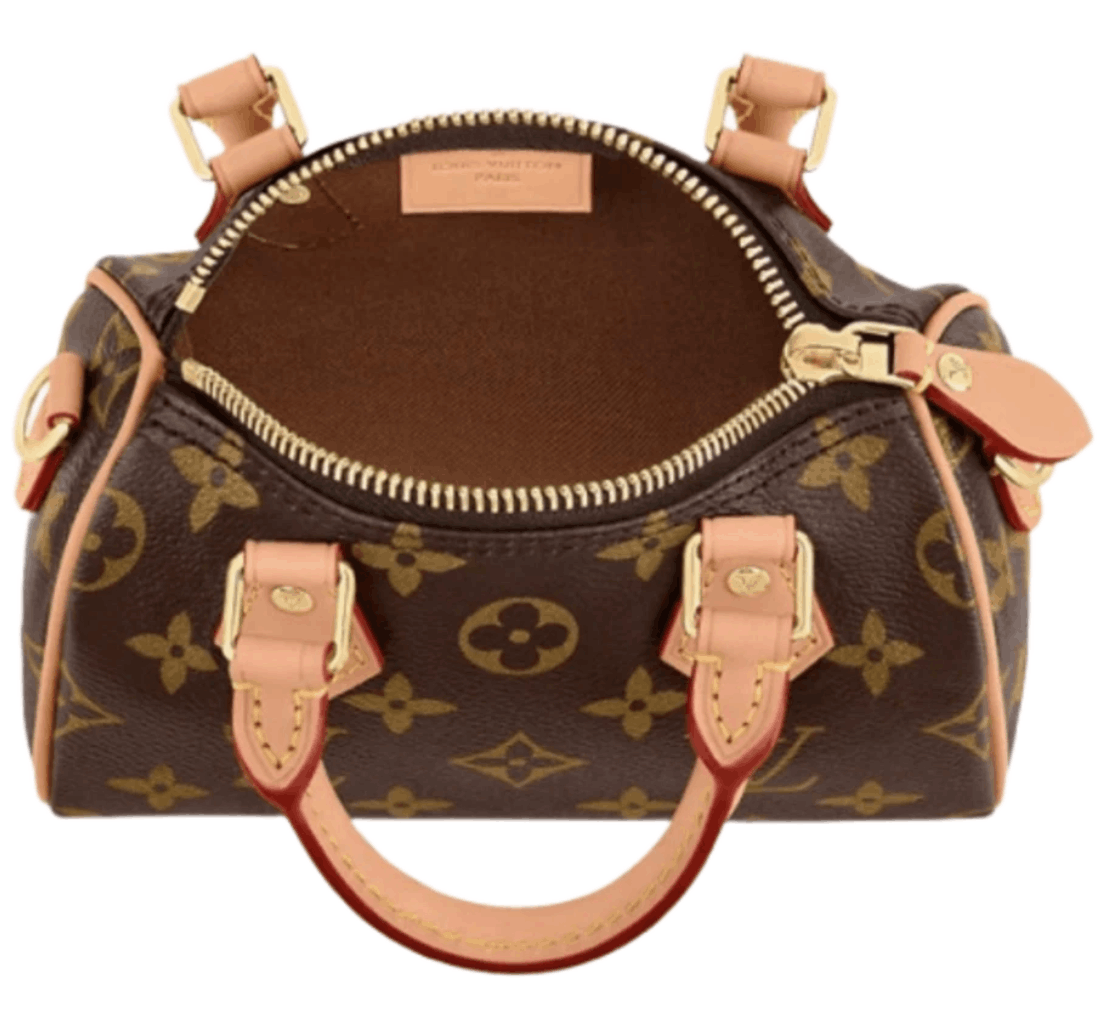 Louis Vuitton Nano Speedy Monogram