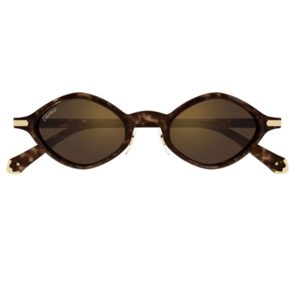 Cartier CT0540S Sunglasses 