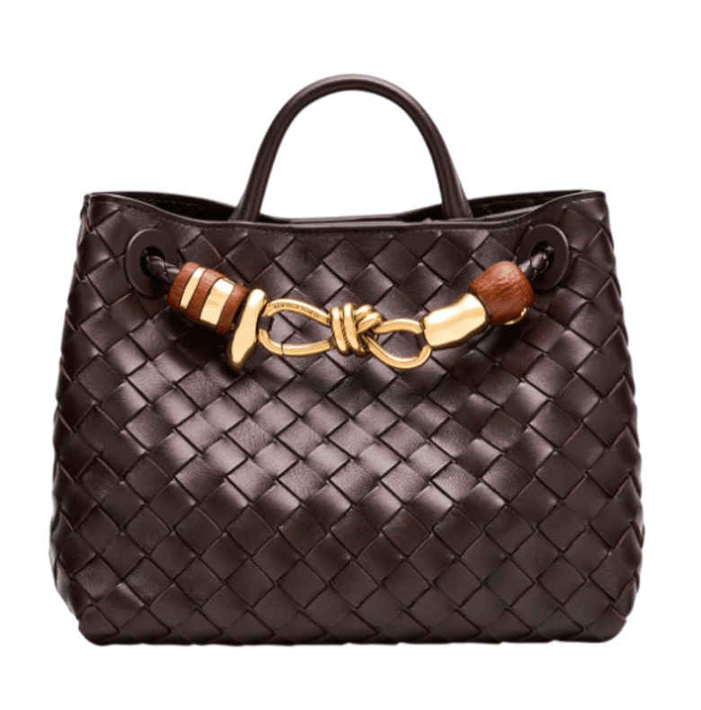 Bottega Veneta Andiamo Small Leather Top-handle Bag