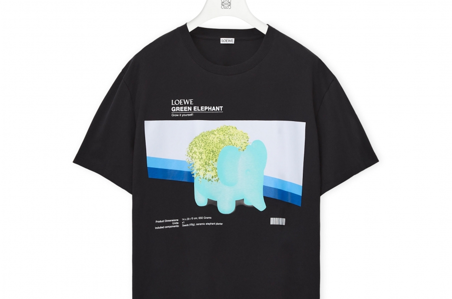 Chia elephant T-shirt in cotton