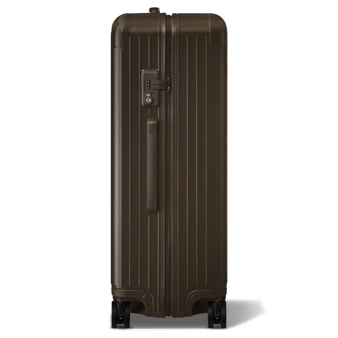 Check-In L (Cedar Brown)