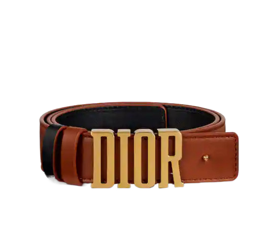D-FENCE reversible belt