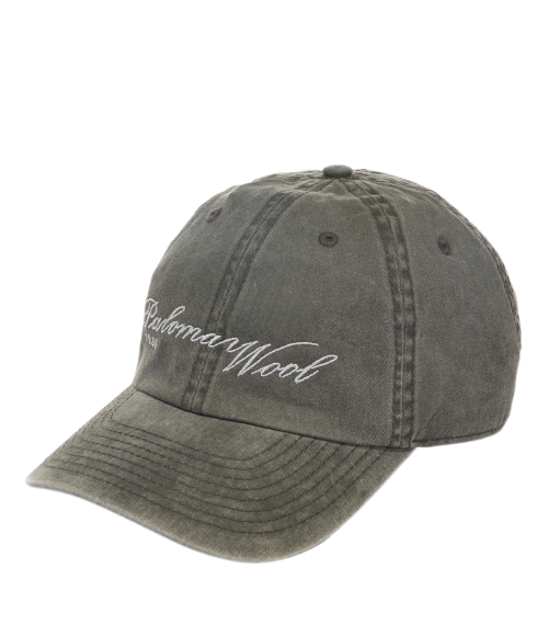 SPAH Cap